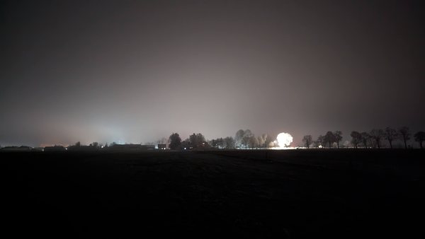 Drzewo w świetle latarni, styczniowa noc