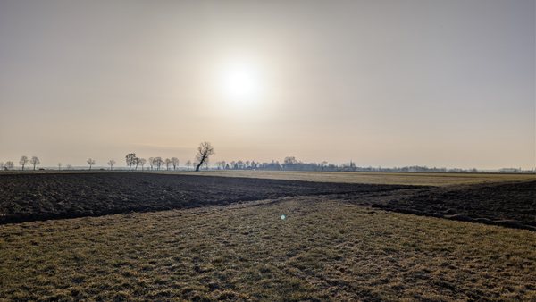 Pola o poranku, wieża kościoła na horyzoncie
