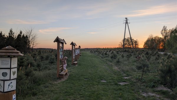 Ścieżka edukacyjna
